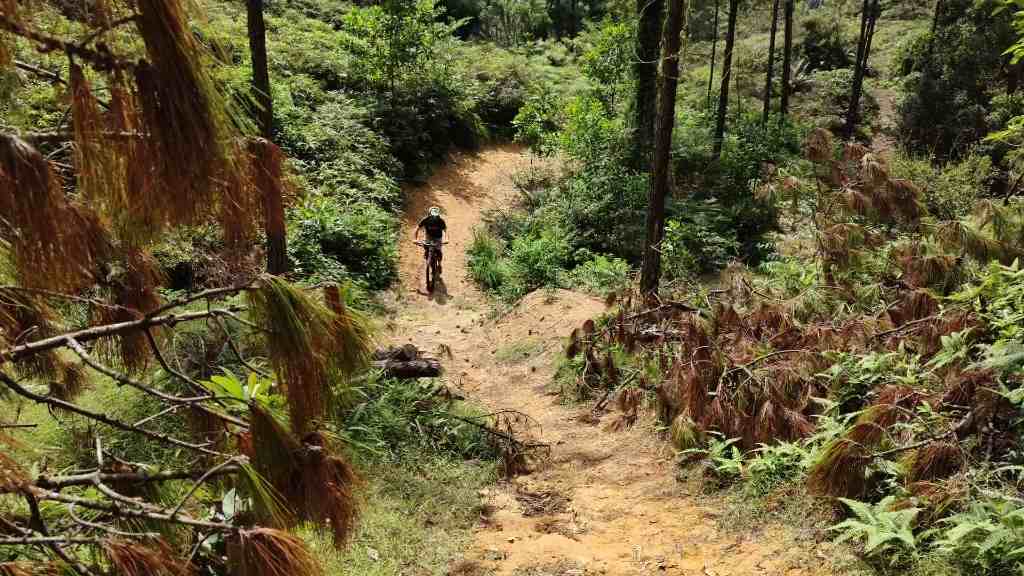 125cc 4 Stroke Performs on Trails