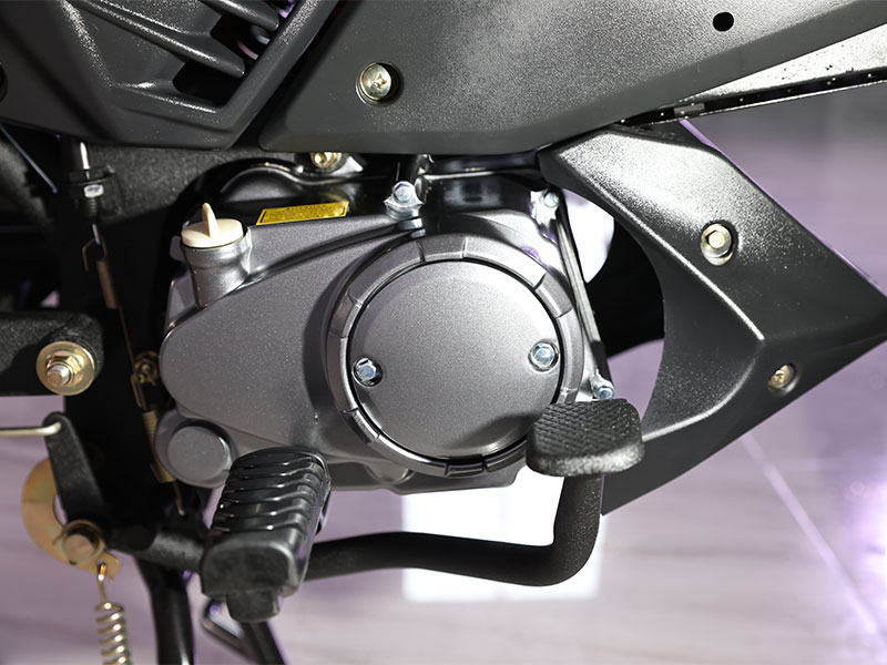 Electric Motorcycle CP1000D-3A EEC 12