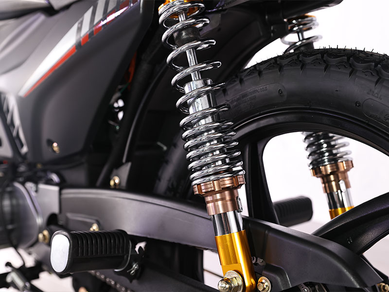 Electric Motorcycle CP1000D-3A EEC15