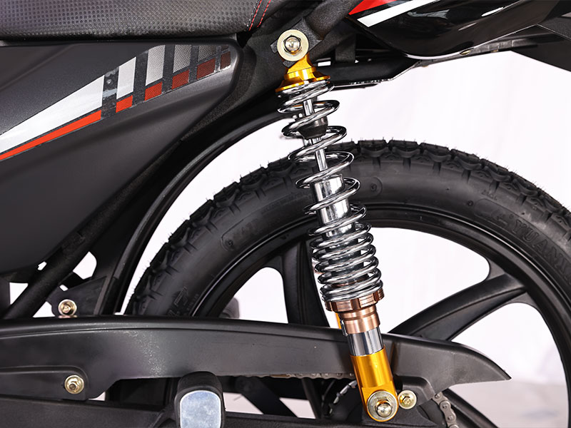 Electric Motorcycle CP1000D-3A EEC 17