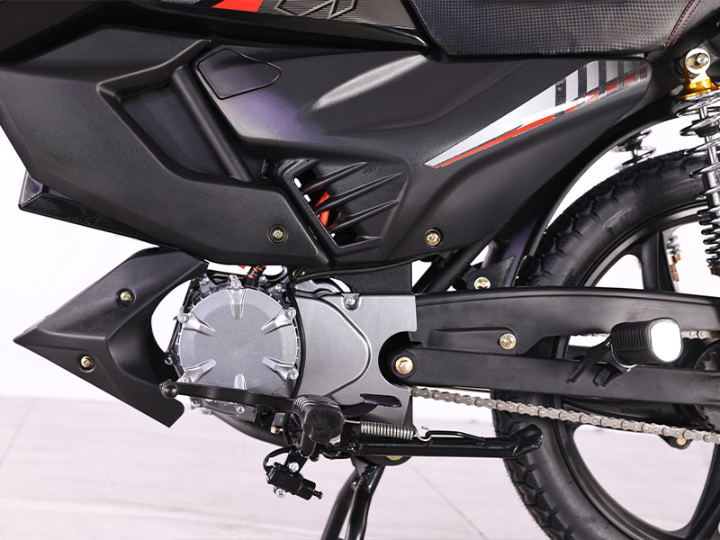Electric Motorcycle CP1000D-3A EEC 19