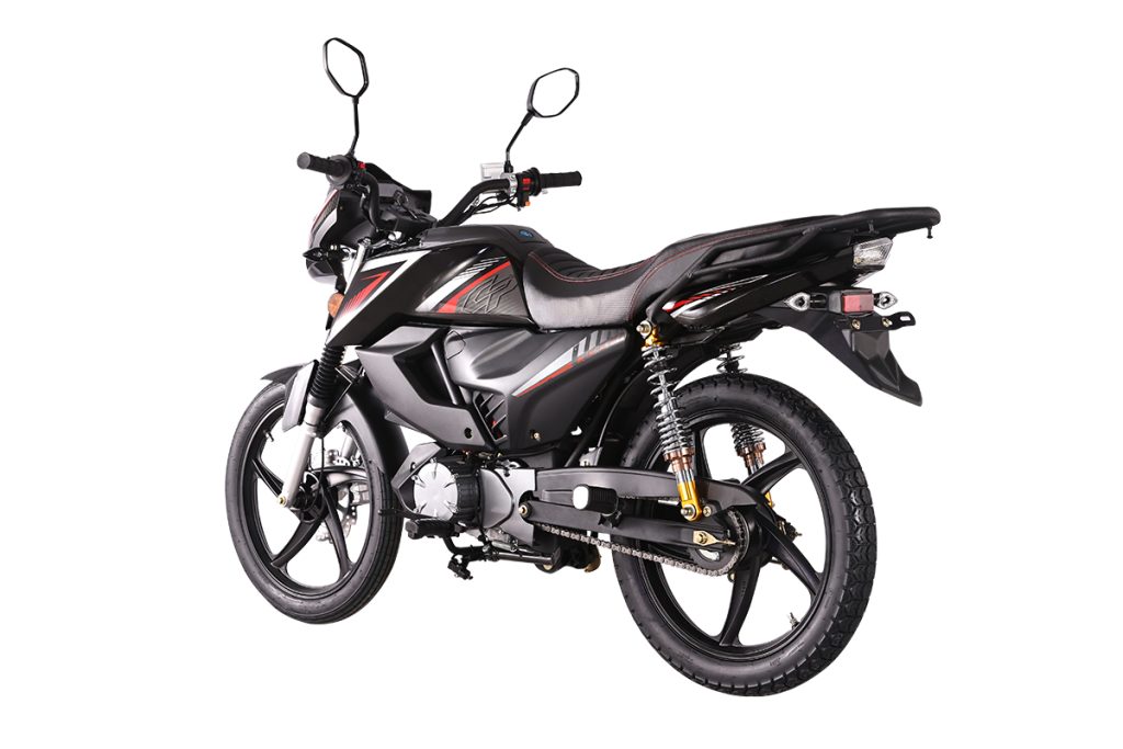 Electric Motorcycle CP1000D-3A EEC 9