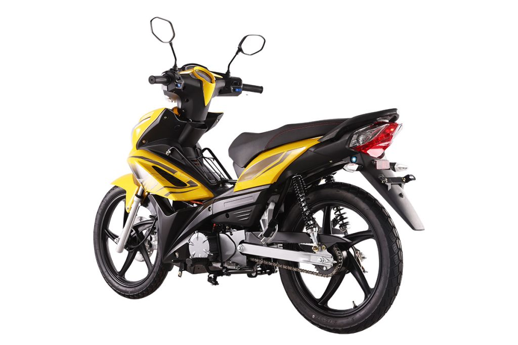 2025 Electric Motorcycle CP1000D-8A 18