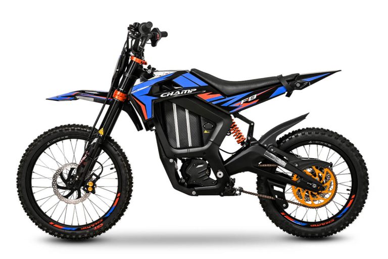 2025 Electric Off Road CP3000DPY-8B 6